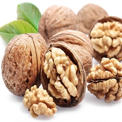 Shelled Walnuts