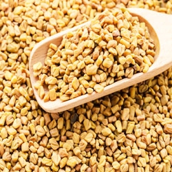 Fenugreek Seeds