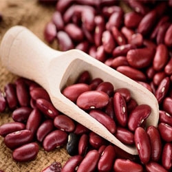 Kidney Beans