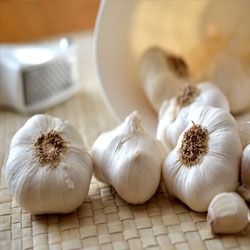 Fresh Garlic