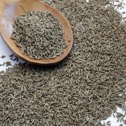 Cumin Seeds