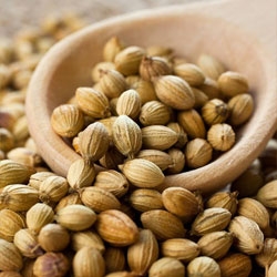 Coriander Seeds