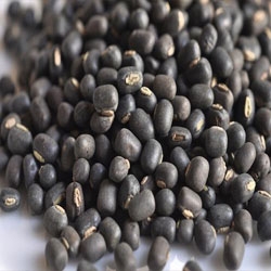 Whole Urad Dal