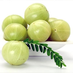 Fresh Amla